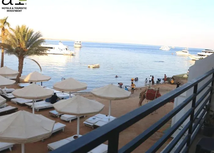 La Rosa Waves - Couple & Families Only 4*